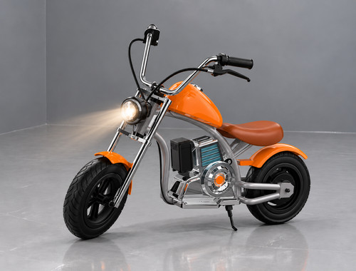 Electric bike for - electric,