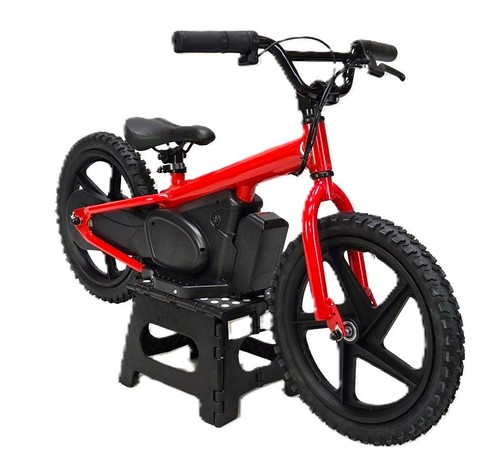 Zoomer 170w kids electric - 170w,
