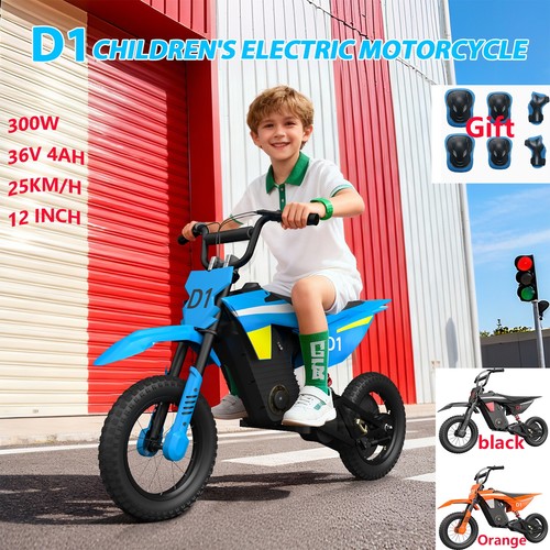 300w electric dirt bike - dirt, kids