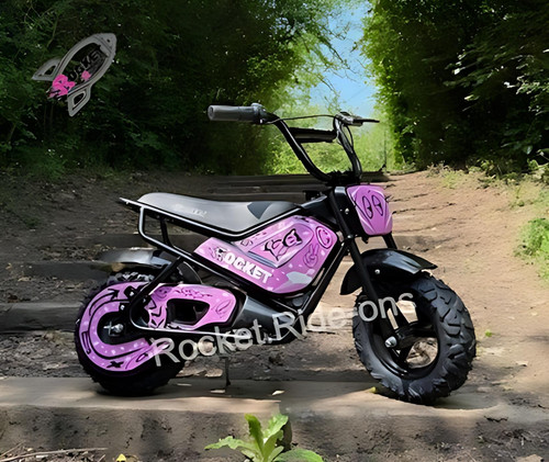 Kids 24v electric mini monkey - kids,